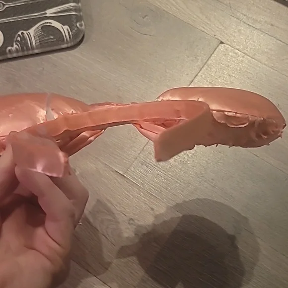 Disney Minnie Mouse Pink Floral Rose Ears Women Or Kids 💕💗☺️ - Picture 6 of 6